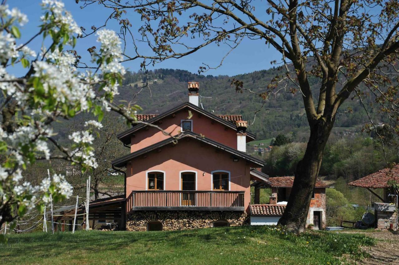 Antico Fienile Villa Belluno Ngoại thất bức ảnh